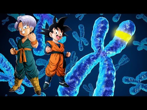 Why don't Goten and Trunks have tails? • Dragon Ball 🐉