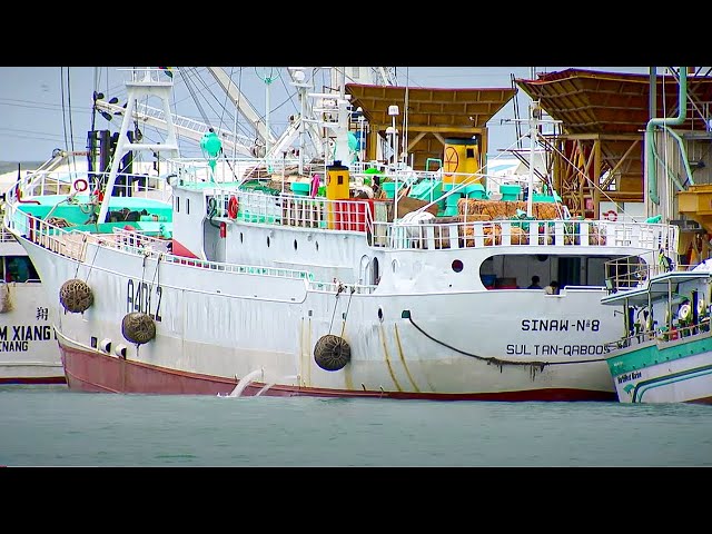 The Death of the Oceans