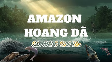 Khám Phá Amazon Hoang Dã: Kẻ Săn Và Con Mồi Trong Cuộc Sinh Tồn