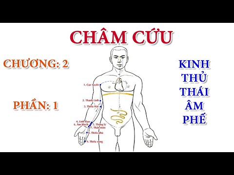 Châm Cứu | Chương II – Phần 1: Kinh Thủ Thái Âm Phế | Tổng hợp những thông tin liên quan đến kim châm cứu mới cập nhật
