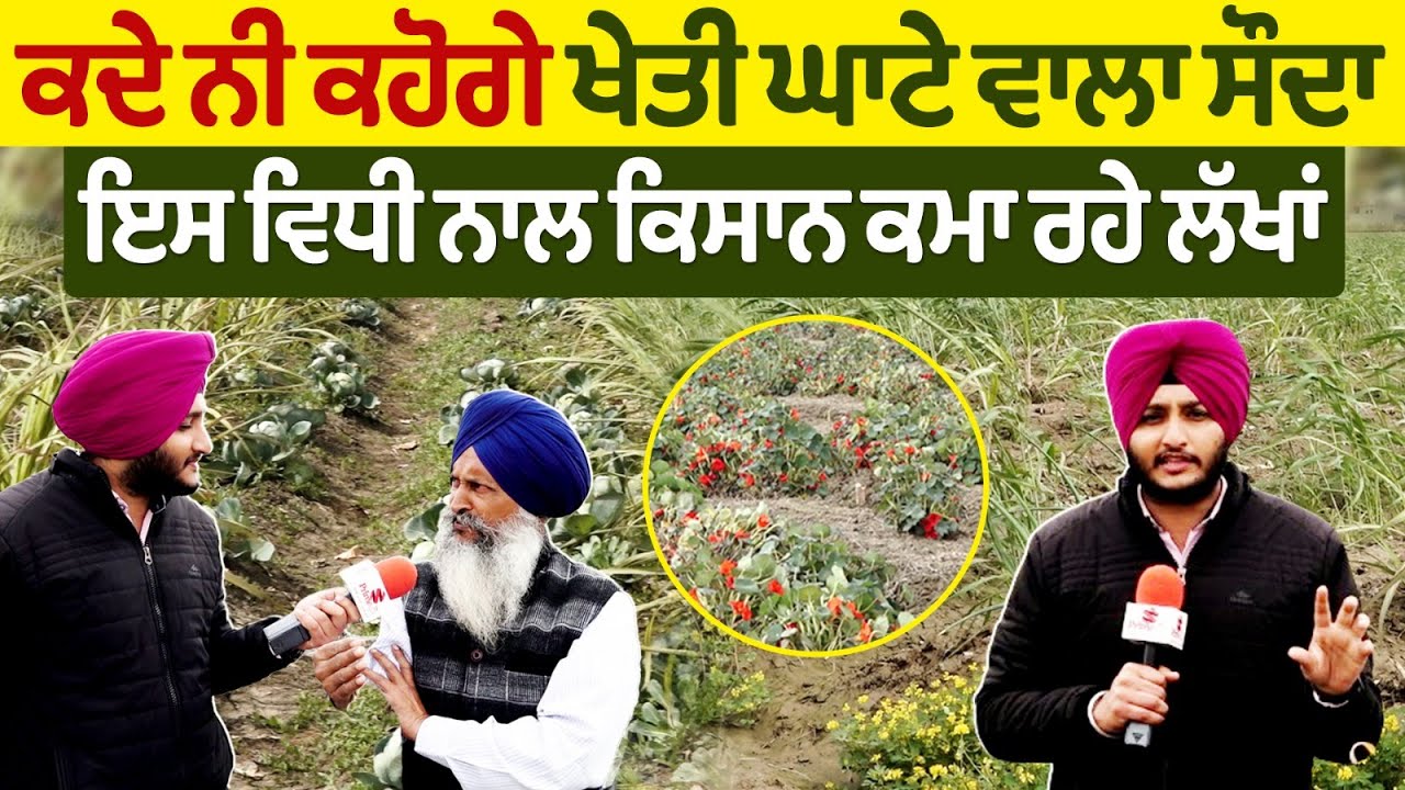 ਕਦੇ ਨੀ ਕਹੋਗੇ ਖੇਤੀ ਘਾਟੇ ਵਾਲਾ ਸੌਦਾ, ਇਸ ਵਿਧੀ ਨਾਲ ਕਿਸਾਨ ਕਮਾ ਰਹੇ ਲੱਖਾਂ