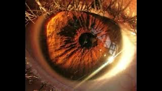 Go Around F.T Bongi Dube (Official Audio)