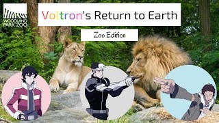 Voltron's Return to Earth: Zoo Edition