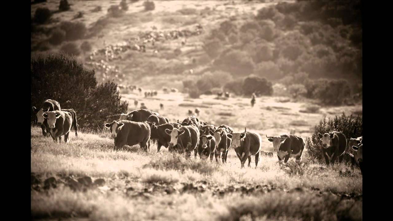 David R. Stoecklein slideshow - Wagon Tongue