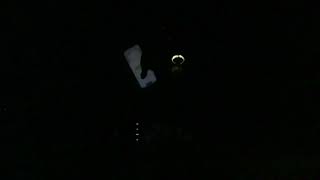 IMG 0357