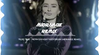 Yıldız Tilbe - Neyin Kafasını Yaşıyorsun Sen (MIDRANGE REMİX) Resimi