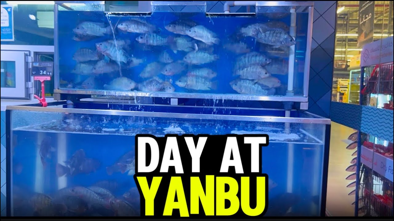 Hyperpanda + Sephora Adventure! || Vlog 