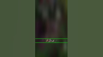 حالات واتساب دينية ( آيات بينات من الذكر الحكيم)