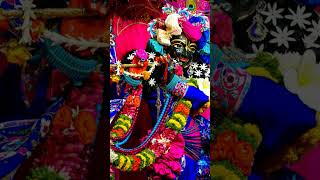 radhe krishna ki jodi #sorts #song #vrindavan #trendingshorts #status #bhajan #devotionalbhajan