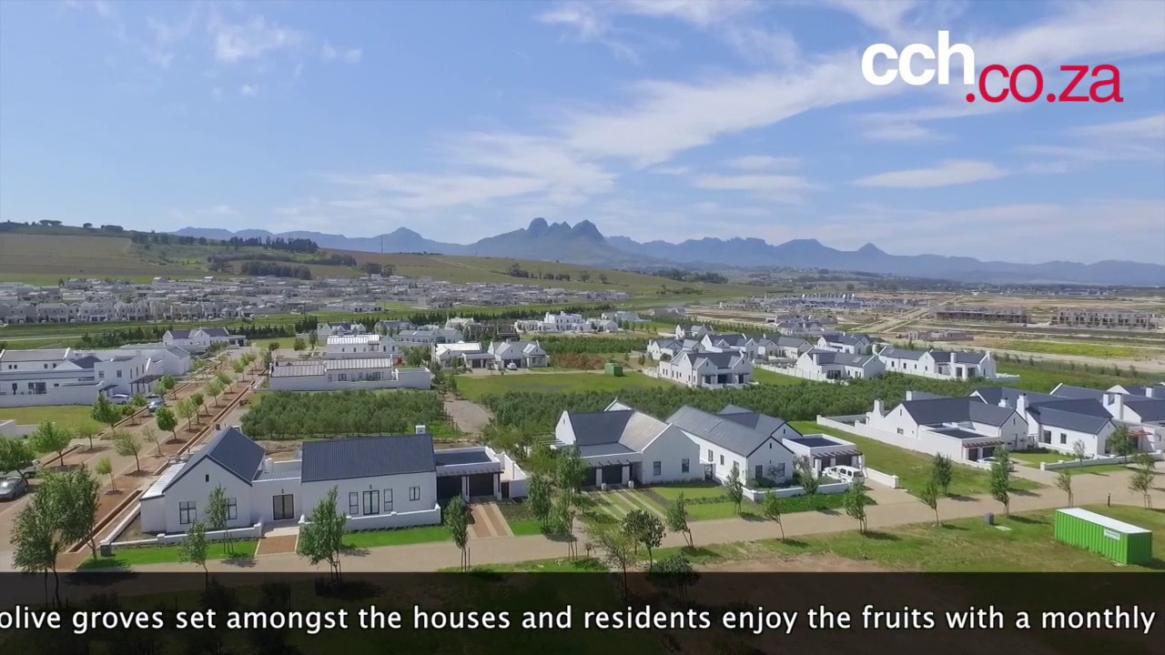 Croydon Olive Estate Somerset West YouTube