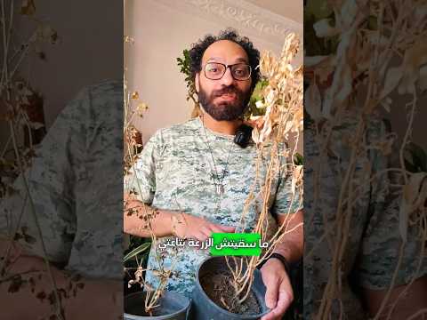النبات كدة مات ولا ايه إنقاذ نبات بعملية التقليم و قص الاوراق الميته