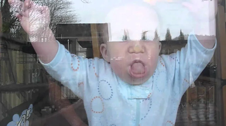 baby Oscar make-out session with window
