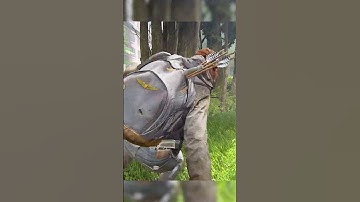 Headshot Masterclass #shorts