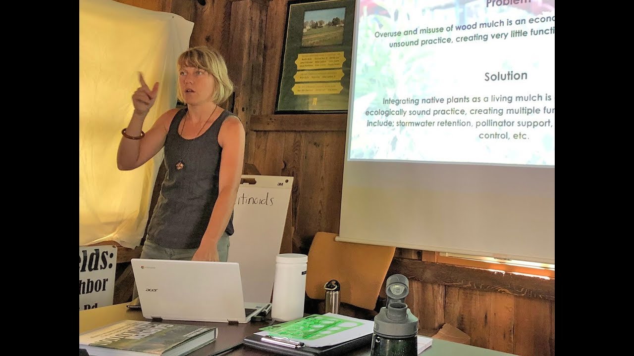 Using Native Ground Covers by Elyse Jurgen