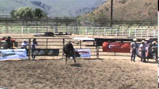 Red Line- 2015 Chelan Wsbba