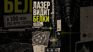 Лазер для cryo-EM: Biohub и UC Berkeley учатся видеть белки внутри клетки