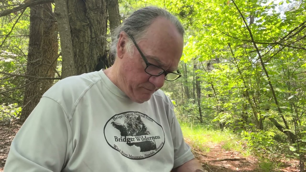 3 Day Backpacking Trip, Shenandoah Mountain Trail to  Hiner Spring