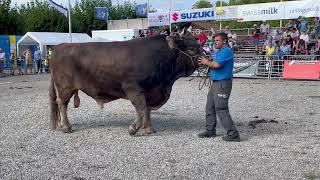 Zuger Stierenmarkt 22 Misterwahl OB