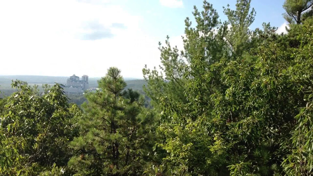 Pequot Trails Connecticut Woods 10 YouTube