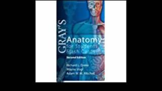 Gray's Anatomy for Students Flash Cards with STUDENT CONSULT Online Access, 2e screenshot 1