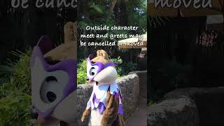 Important: Changes currently in place at Disneyland Paris due to the heatwave (June 2026)