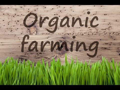 ვინ და როგორ გააკონტროლებს ბიოწარმოების სახელმწიფო პროგრამის ბენეფიციარების კონვერსიას?