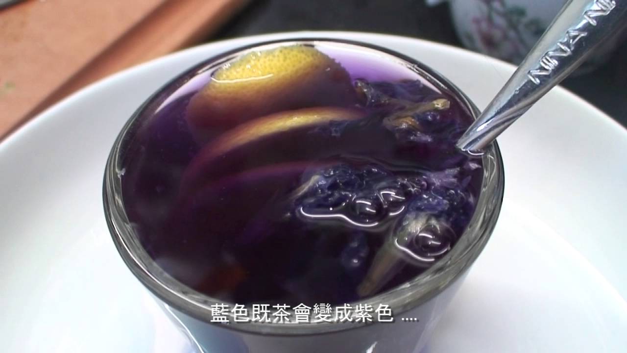 蝶豆花茶藍色變成紫色短片 Youtube