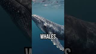 Nature is wild #science #ecology #ocean