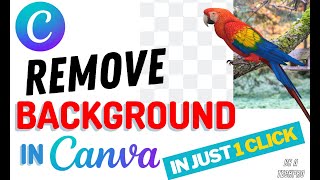 How to Remove Background in Canva | Change Background screenshot 4