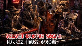 Velvet Groove Social | Underground Nu Jazz Session 🌃🎷