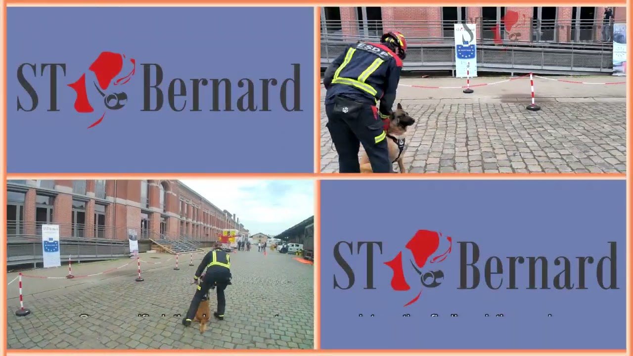 STBERNARD project participation in EU CIVIL Protection FORUM