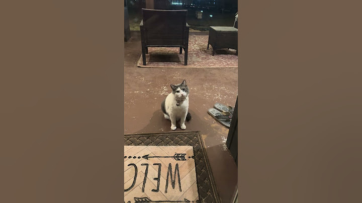 She was mad but didn’t want Mom to get mad!!