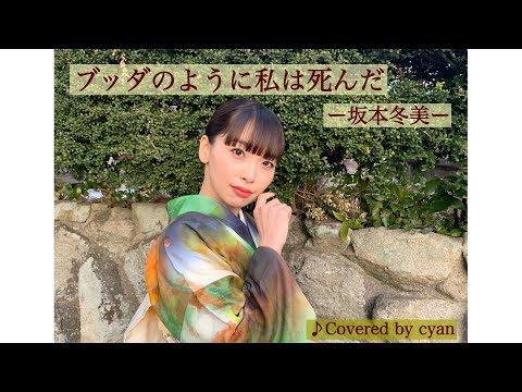 【キーボード弾き語り】ブッダのように私は死んだ／坂本冬美 (Covered by cyan)
