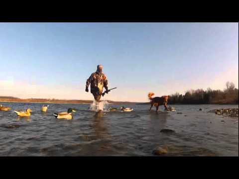 St. Lawrence River duck hunt