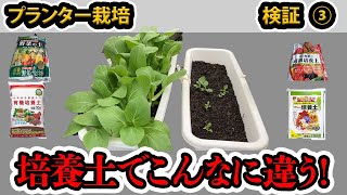 【プランター栽培】培養土でこんなに育ちが違うの！？家庭菜園者は必見です！検証❸