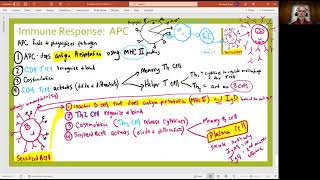 Biology 2020 Chapter 21 Lymphatic System:  Professional APC Immune Response (video 12)