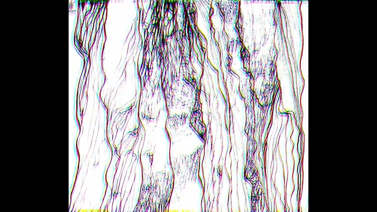 Pine Tree  🌳 Ink Drawing + Solo Piano Music by SYC 