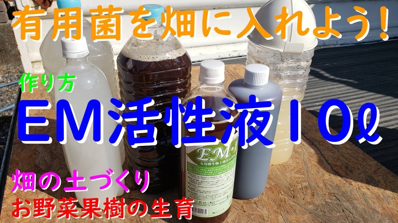 畑に有用菌を入れよう！EM発酵水１０ℓ作ってみた（作り方）
