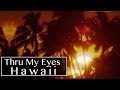 Hawaii - Thru My Eyes | Helicopter Camera & Red Epic