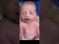 Newborn Baby Cute Kitkat Youtubeshorts Nursing Newborn Cutebaby Vairalvideo Short