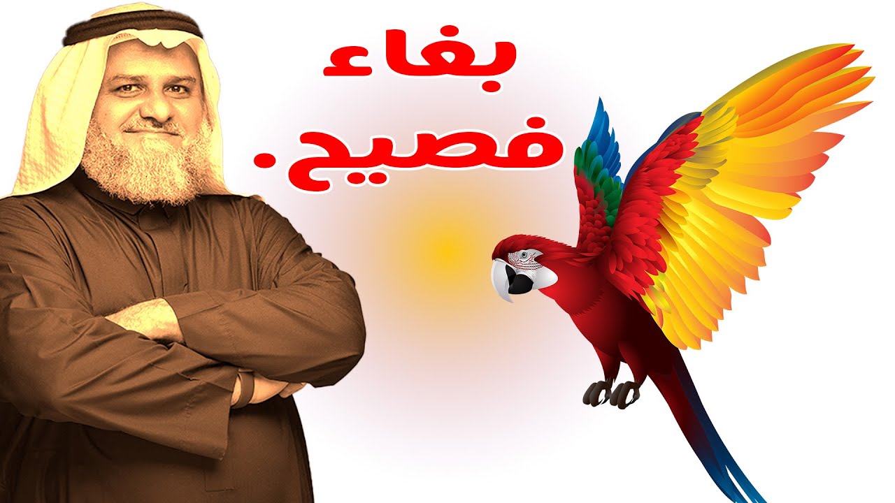 بغاء فصيح - YouTube