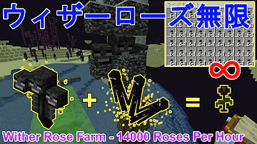 マイクラ1 18 簡単低コスト超高効率なウィザーローズ無限化装置 作り方解説 Minecraft Easy High Efficient Wither Rose Farm マインクラフト Mp3