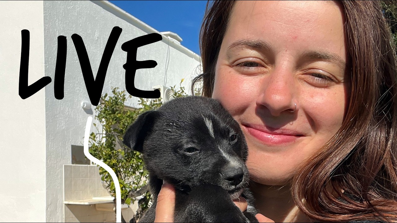 CHIACCHIERE e CUCCIOLI LIVE