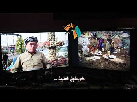 برومو كويسنجق الحبيبة