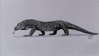 In this video, i will be showing you guys how to draw a komodo dragon,
the largest monitor lizard, step by step. hope find art tutorial
helpful, -...