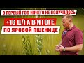 Как получить прибавку урожайности | Листовые подкормки и внесение КАС ликвилайзером | Опыты фермера