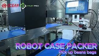 Robotic Case Box Packer