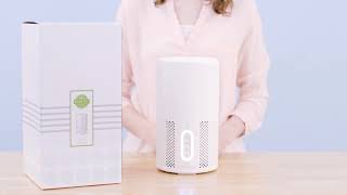 How to set up the Scentsy Air Purifier