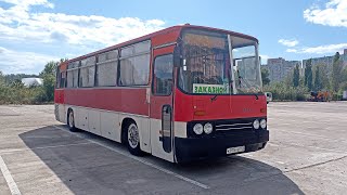 картинка: СТРИМ ИКАРУС ГОД СПУСТЯ...