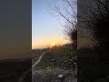 #nature #trending 🔥🔥